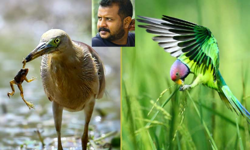 അഭിലാഷി​െൻറ ചിത്രങ്ങൾ