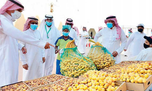 ഹാ​ഇ​ലി​ൽ ഇൗ​ത്ത​പ്പ​ഴ മേ​ള തു​ട​ങ്ങി