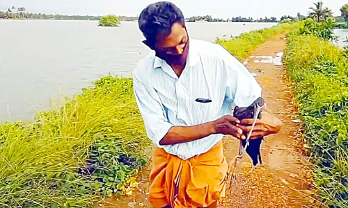 കാ​ലൊ​ടി​ഞ്ഞ ദേ​ശാ​ട​ന​പ​ക്ഷി​ക്ക് തു​ണ​യാ​യി മ​ധു