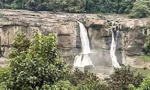 ചാലക്കുടിപ്പുഴയിലും തീരത്തും വരൾച്ച