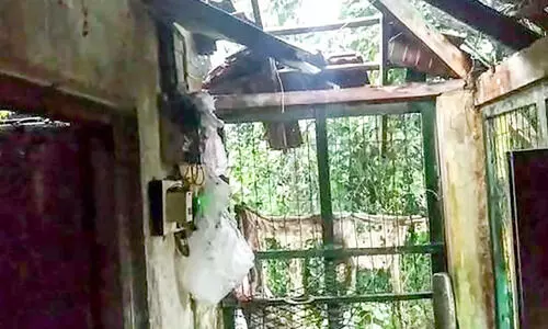മഴയിലും കാറ്റിലും പുളിക്കീഴ് സ്‌റ്റേഷ​െൻറ മേൽക്കൂര തകർന്നു