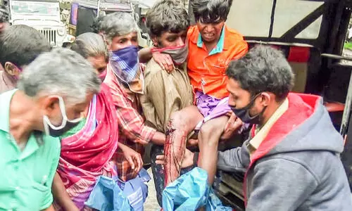 കരടിയുടെ ആക്രമണത്തില്‍ ബാലന് പരിക്ക്