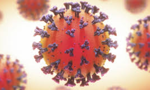 കുവൈത്തിൽ 805 പേർക്ക്​ കൂടി കോവിഡ്​; 516 പേർക്ക്​ രോഗമുക്​തി