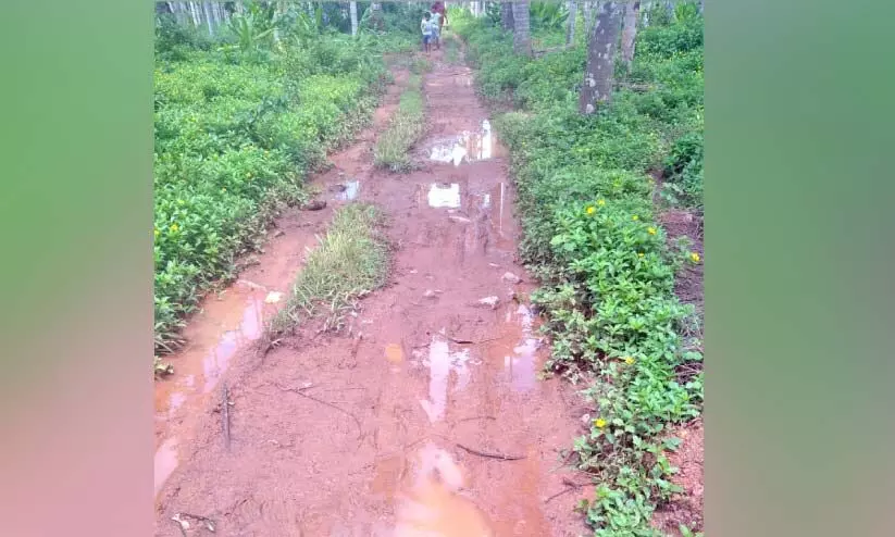 റോഡ് നന്നാക്കിയില്ലെങ്കിൽ വോട്ടില്ലെന്ന്