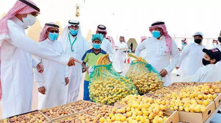 ഹാ​ഇ​ലി​ൽ ഇൗ​ത്ത​പ്പ​ഴ മേ​ള തു​ട​ങ്ങി