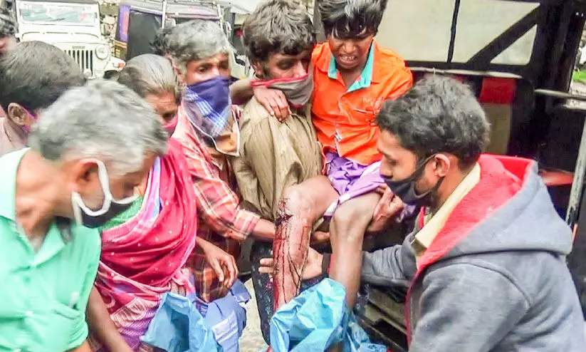 കരടിയുടെ ആക്രമണത്തില്‍ ബാലന് പരിക്ക്