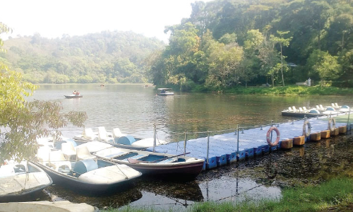 പൂക്കോട് തടാകം നവീകരിക്കുന്നു; കോടികൾ ചെലവഴിക്കും