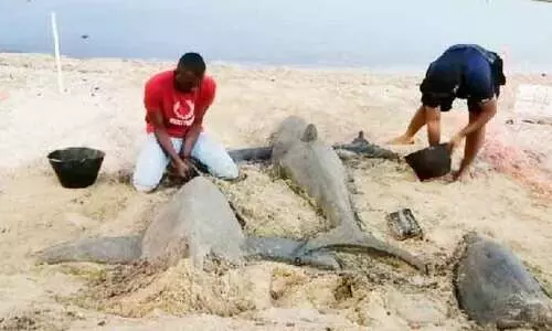 ക​ട​ൽ​ത്തീ​ര​ത്ത് വി​സ്മ​യ​മാ​യി മ​ണ​ൽ ശി​ൽ​പ​ങ്ങ​ൾ