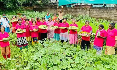 ഇത്​ പച്ചക്കറി വിളയും ബെത്‌ലഹേം