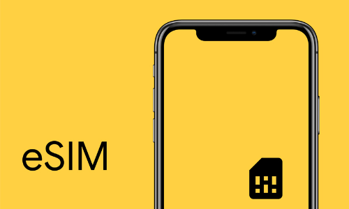 ഇ-​സി​മ്മി​ന്‍റെ പേ​രി​ല്‍ ത​ട്ടി​പ്പ്: ജാ​ഗ്ര​ത ​നി​ര്‍​ദേ​ശ​വു​മാ​യി പൊലീസ്