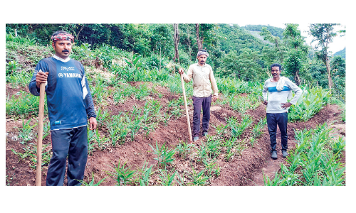 പണിയില്ലാതായപ്പോൾ ഹെ​വി ഡ്രൈ​വ​ർ​മാ​ർ മ​ണ്ണി​ലി​റ​ങ്ങി; കൃ​ഷി ടോ​പ് ഗി​യ​റി​ൽ