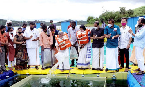 കാരാപ്പുഴ അണക്കെട്ടിലും കൂട് മത്സ്യകൃഷി പദ്ധതി നടപ്പാക്കും –മന്ത്രി മേഴ്‌സിക്കുട്ടിയമ്മ