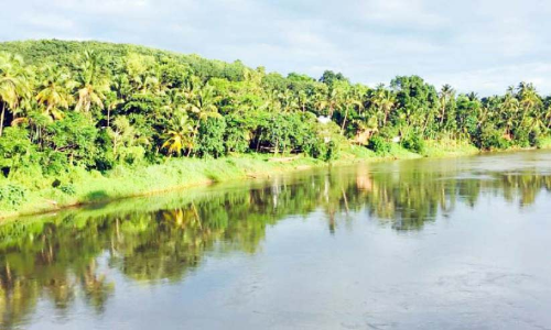കരയിടിഞ്ഞ് ഇല്ലാതാവുന്ന തേർളായി ദ്വീപ്