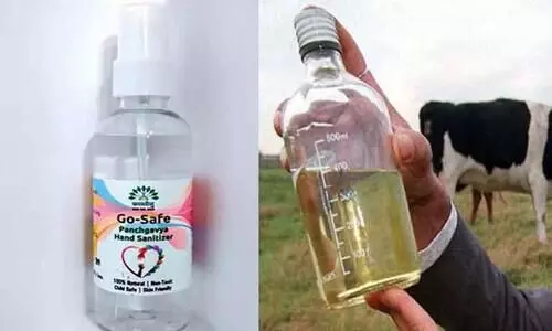 ഗോ സെയ്​ഫ്​ ഹാൻഡ്​ സാനിറ്റൈസർ