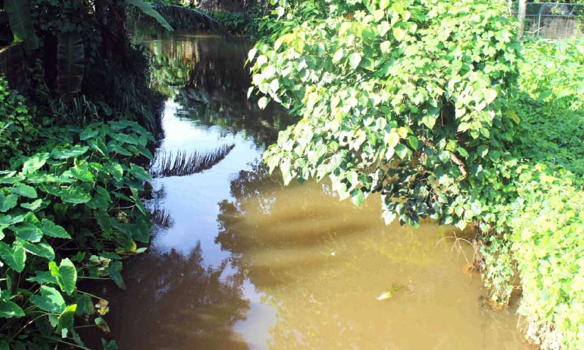 ഒ​ഴി​പ്പി​ക്ക​ൽ ന​ട​പ​ടി എ​ങ്ങു​മെ​ത്തി​യി​ല്ല; പ​ള്ളി​ക്ക​ലാ​റ്റി​ൽ കൈ​യേ​റ്റം തു​ട​രു​ന്നു