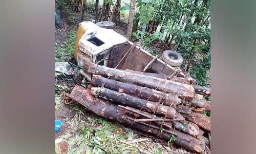 മരം കയറ്റിവന്ന ലോറി മറിഞ്ഞു