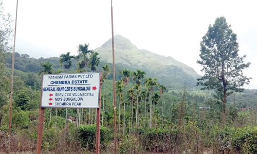 ചെ​മ്പ്ര എ​സ്‌​റ്റേ​റ്റി​ൽ സ്വ​യം വി​ര​മി​ക്ക​ലി​ന് കൂ​ടു​ത​ൽ തൊ​ഴി​ലാ​ളി​ക​ൾ