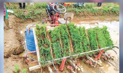 പുതിയ കളനിയന്ത്രണ യന്ത്രവുമായി കാർഷിക സർവകലാശാല കേന്ദ്രം