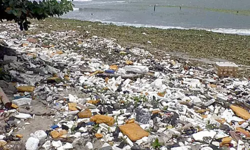 മാലിന്യവും പോളപ്പായലും നിറഞ്ഞ് ഫോർട്ട്കൊച്ചി കടപ്പുറം മാലിന്യവും പോളപ്പായലും നിറഞ്ഞ് ഫോർട്ട്കൊച്ചി കടപ്പുറം