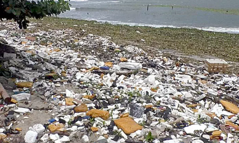 മാലിന്യവും പോളപ്പായലും നിറഞ്ഞ് ഫോർട്ട്കൊച്ചി കടപ്പുറം മാലിന്യവും പോളപ്പായലും നിറഞ്ഞ് ഫോർട്ട്കൊച്ചി കടപ്പുറം