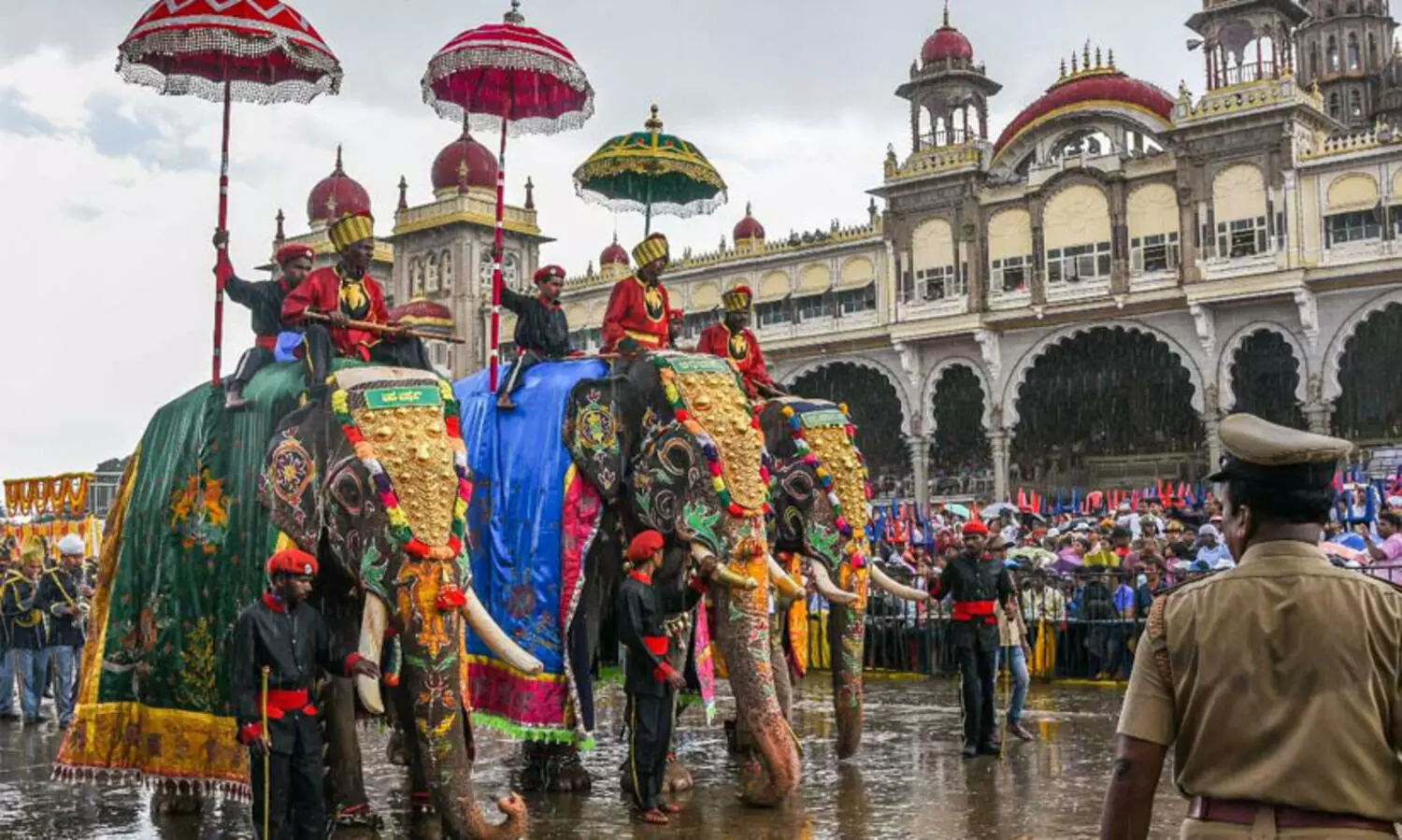 മൈസൂരു ദസറ: ആനകൾക്കും കോവിഡ് പരിശോധന