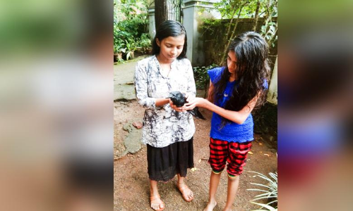 ബാലികമാരുടെ കരുതലിൽ കാക്കക്കുഞ്ഞിന് പുതുജീവൻ