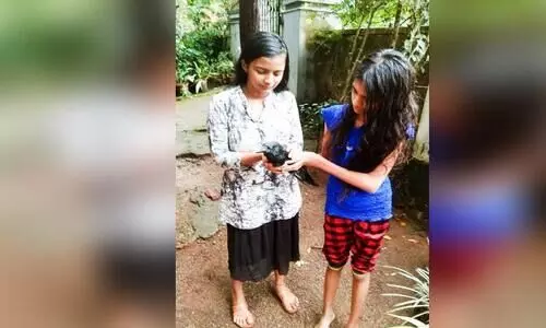 ബാലികമാരുടെ കരുതലിൽ കാക്കക്കുഞ്ഞിന് പുതുജീവൻ