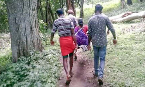 അവഗണനയുടെ നടുവിൽ കോട്ടവയൽ വനഗ്രാമം