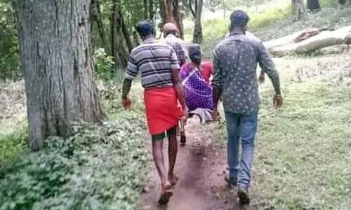 അവഗണനയുടെ നടുവിൽ കോട്ടവയൽ വനഗ്രാമം അവഗണനയുടെ നടുവിൽ കോട്ടവയൽ വനഗ്രാമം