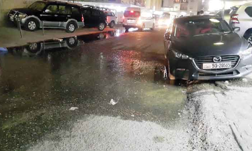 അ​ബ്ബാ​സി​യ​യി​ലെ മാ​ലി​ന്യം: എം​ബ​സി ഇ​ട​പെ​ട​ണ​മെ​ന്ന്​ ഒ.​െ​എ.​സി.​സി