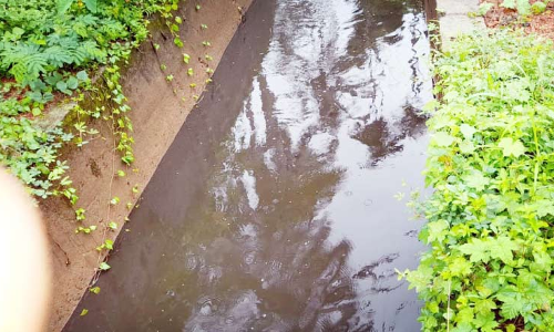 കണ്ണൂര്‍ വിമാനത്താവളത്തിലെ ലേബര്‍ ക്യാമ്പില്‍ നിന്ന്​ കക്കൂസ് മാലിന്യം തോട്ടിലേക്ക്