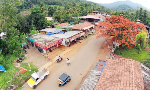 വികസനമെത്താതെ കുടിയാന്മല