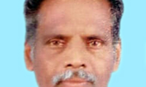 ഷോ​ക്കേ​റ്റ് മ​രി​ച്ചു