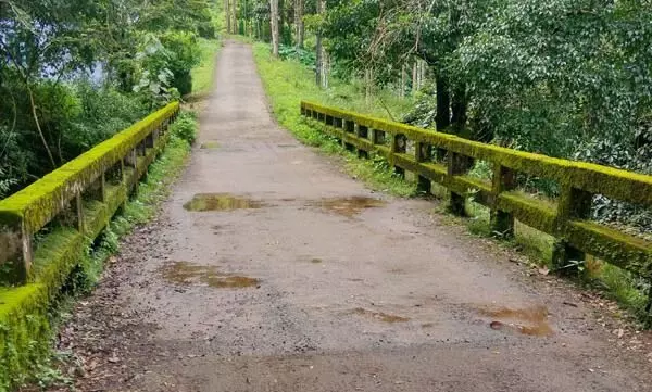 kurichyar mala kurichyar mala