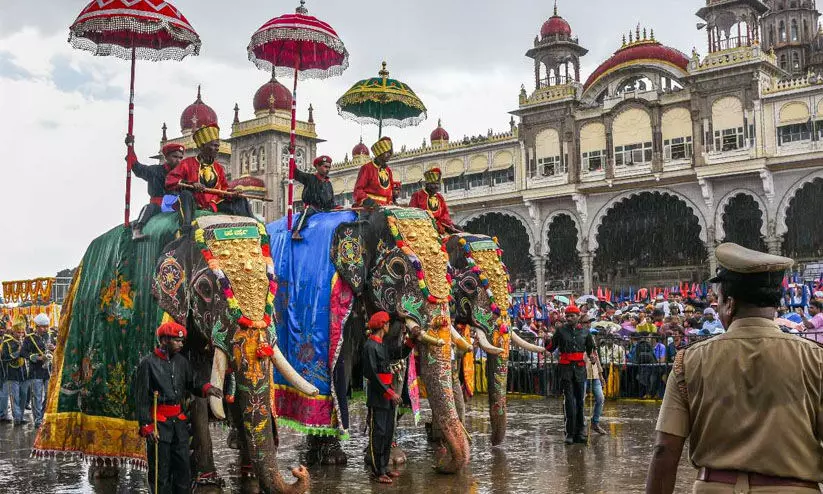 മൈസൂരു ദസറ: ആനകൾക്കും കോവിഡ് പരിശോധന