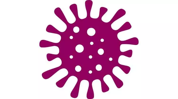 കോവിഡ് മുൻകരുതൽ നിർദേശ ലംഘനം: 139 സ്ഥാപനങ്ങൾ പൂട്ടി