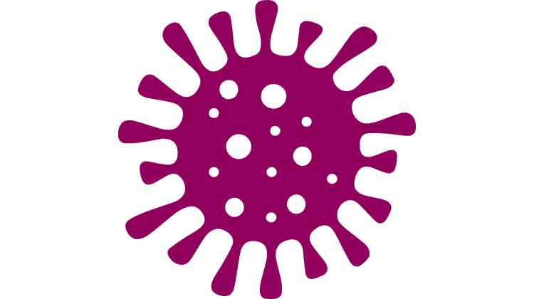 മടങ്ങിയെത്തുന്നവർക്ക് ആറാം ദിനം മാത്രം കോവിഡ് പരിശോധന മടങ്ങിയെത്തുന്നവർക്ക് ആറാം ദിനം മാത്രം കോവിഡ് പരിശോധന