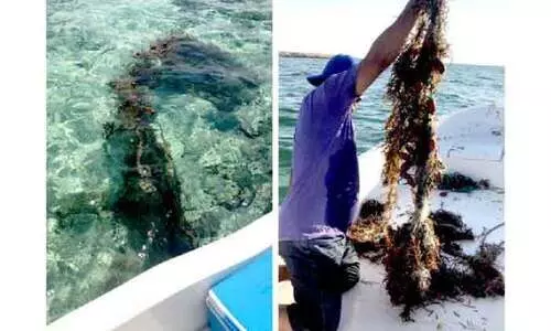 കടലിൽ ഉപേക്ഷിക്കപ്പെട്ട മത്സ്യബന്ധന വലകൾ നീക്കി