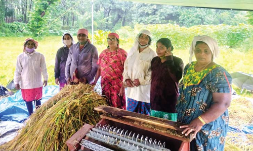 പെൺകരുത്തിൽ വിളഞ്ഞത് നൂറുമേനി