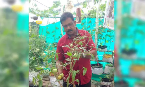 മ​ട്ടു​പ്പാ​വ്​ കൃ​ഷിയിൽ വി​സ്മ​യം തീ​ർ​ത്ത് വി​മു​ക്ത ഭ​ട​ൻ