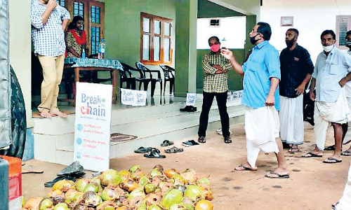 കുരങ്ങുശല്യത്തിൽ പൊറുതിമുട്ടി മലയോര കർഷകർ; നശിപ്പിച്ച നാ​ളി​കേ​ര​വു​മാ​യി ക​ർ​ഷ​ക​ർ ഫോ​റ​സ്​​റ്റ്​ സ്​​റ്റേ​ഷ​നി​ൽ