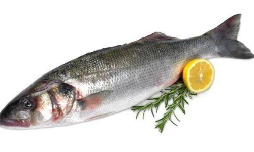 മത്സ്യമേഖലയിലും സ്​റ്റാർട്ടപ്​​ കാളാഞ്ചി വിത്തുൽപാദനത്തിൽ രാജ്യത്തെ ആദ്യ സ്വകാര്യസംരംഭം