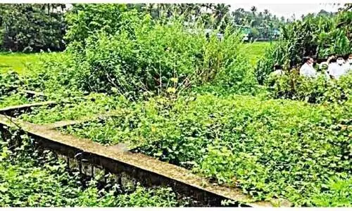 ലൈഫ്​ പദ്ധതിയിൽ പണിയാത്ത വീടിന്​ നാലുലക്ഷം; സി.പി.എം പ്രാദേശിക നേതാവ് മാതാവി​െൻറ പേരില്‍ പണം തട്ടിയെന്ന്​​ ആരോപണം