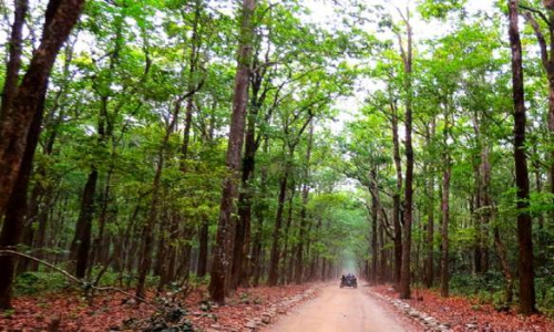 വ​നം​വ​കു​പ്പ് സ്ഥാ​പി​ച്ച ട്ര​ഞ്ച് നി​യ​മ​വി​രു​ദ്ധ​മെ​ന്ന് ത​ഹ​സി​ല്‍ദാ​രു​ടെ റി​പ്പോ​ര്‍ട്ട്