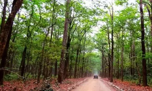 വ​നം​വ​കു​പ്പ് സ്ഥാ​പി​ച്ച ട്ര​ഞ്ച് നി​യ​മ​വി​രു​ദ്ധ​മെ​ന്ന് ത​ഹ​സി​ല്‍ദാ​രു​ടെ റി​പ്പോ​ര്‍ട്ട്