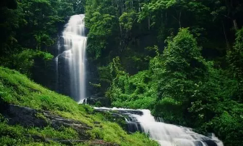 paloor kotta water falls