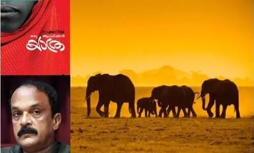 സക്കറിയക്കൊപ്പം ഒരു ആഫ്രിക്കൻ യാത്ര