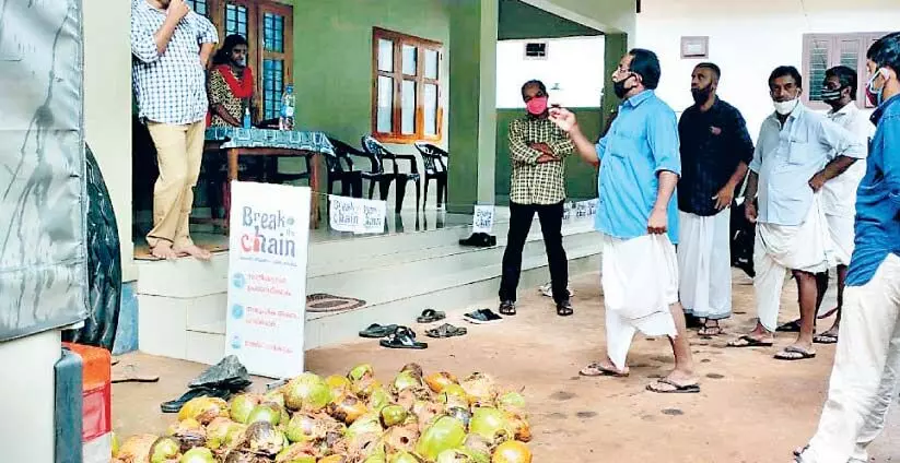 കുരങ്ങുശല്യത്തിൽ പൊറുതിമുട്ടി മലയോര കർഷകർ; നശിപ്പിച്ച നാ​ളി​കേ​ര​വു​മാ​യി ക​ർ​ഷ​ക​ർ ഫോ​റ​സ്​​റ്റ്​ സ്​​റ്റേ​ഷ​നി​ൽ