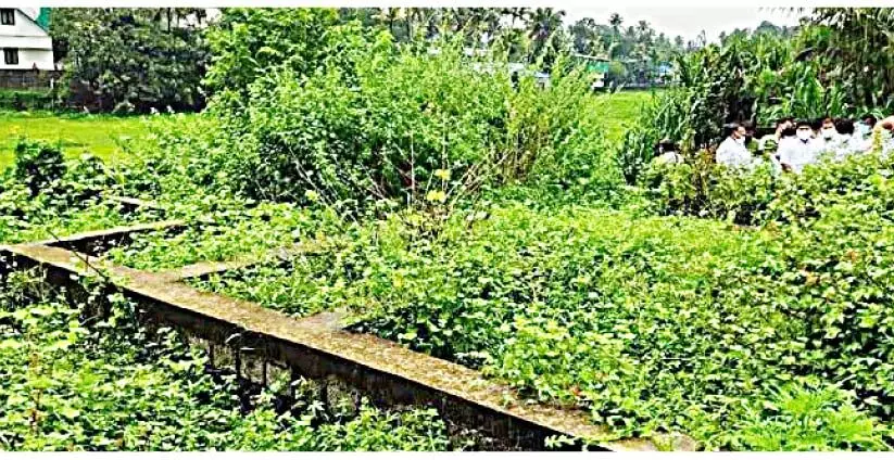 ലൈഫ് പദ്ധതിയിൽ പണിയാത്ത വീടിന് നാലുലക്ഷം; സി.പി.എം പ്രാദേശിക നേതാവ് മാതാവിെൻറ പേരില് പണം തട്ടിയെന്ന് ആരോപണം ലൈഫ് പദ്ധതിയിൽ പണിയാത്ത വീടിന് നാലുലക്ഷം; സി.പി.എം പ്രാദേശിക നേതാവ് മാതാവിെൻറ പേരില് പണം തട്ടിയെന്ന് ആരോപണം