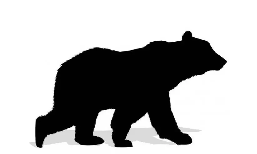 കരടി നാട്ടിലുണ്ടോ...അതോ കാട്ടിലേക്ക് മടങ്ങിയോ... കരടി നാട്ടിലുണ്ടോ...അതോ കാട്ടിലേക്ക് മടങ്ങിയോ...